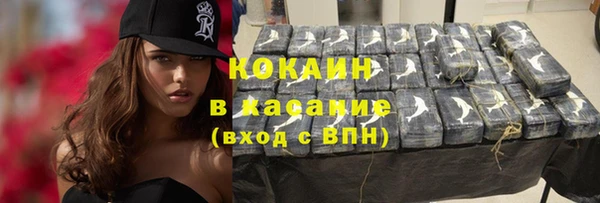 хмурый Алексин