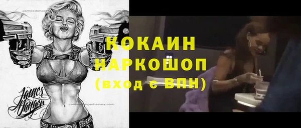 хмурый Алексин