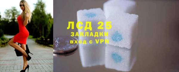 хмурый Алексин