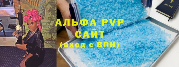 хмурый Алексин