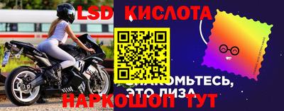 прущие грибы Краснокаменск