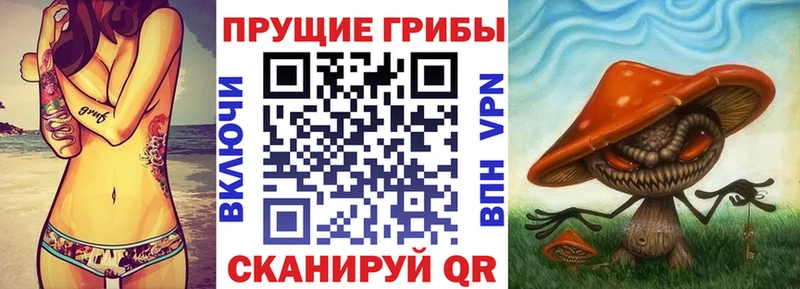 Галлюциногенные грибы Cubensis  Березники 