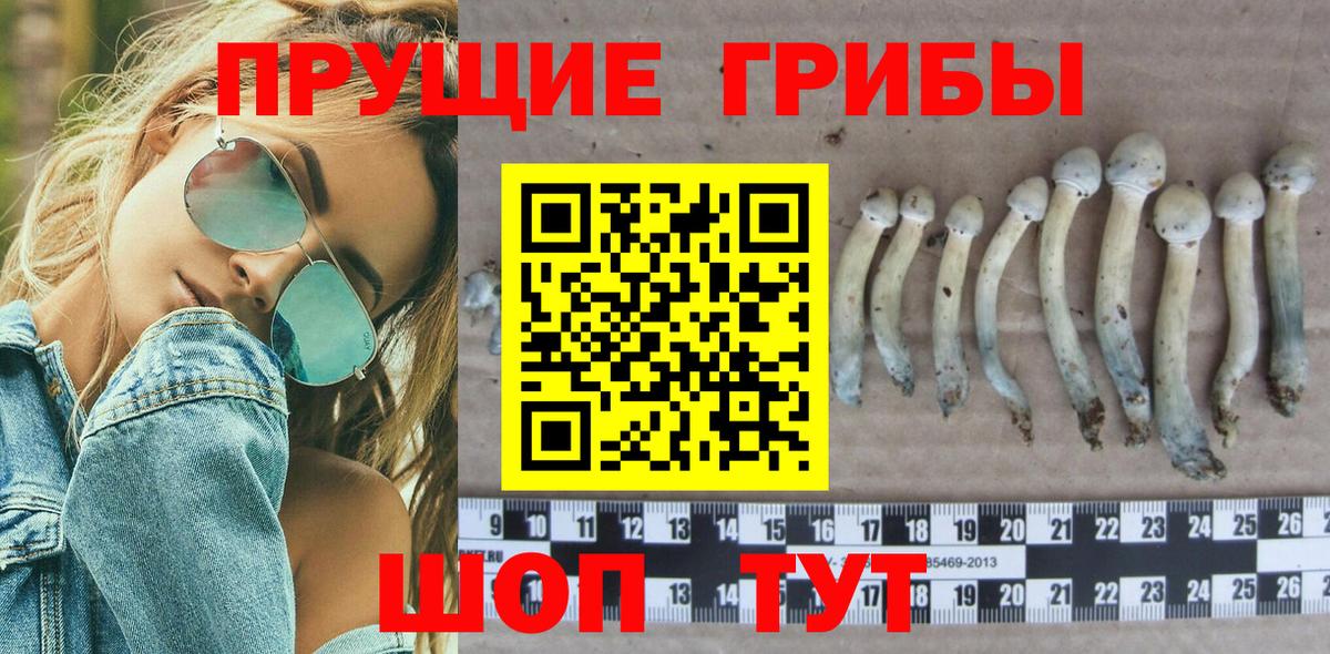 Псилоцибиновые грибы мухоморы  Вход с VPN  Березники  Галлюциногенные грибы Cubensis 