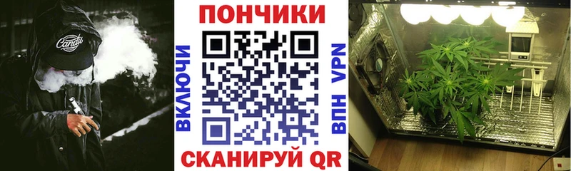 Бошки марихуана сатива  shop формула  Березники 